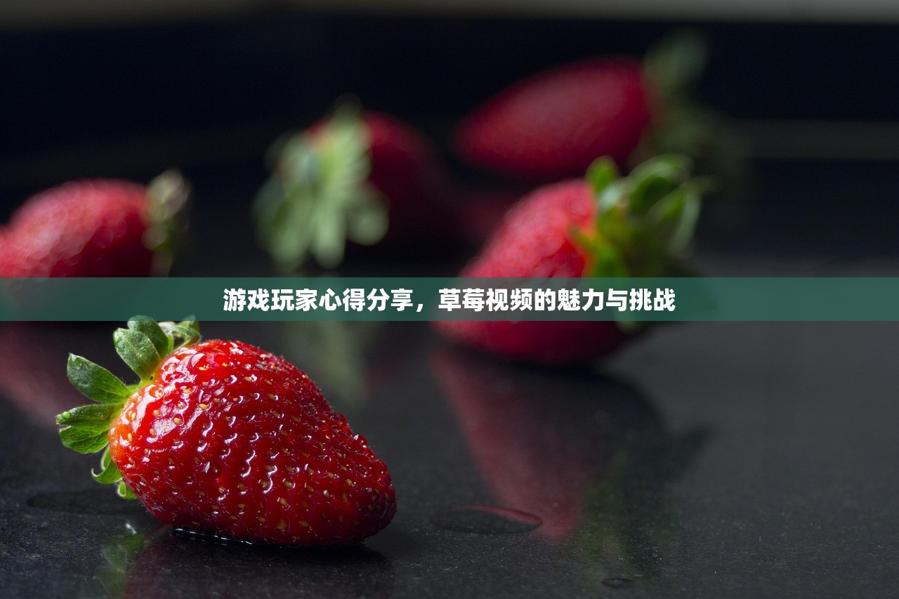 游戏玩家心得分享，草莓视频的魅力与挑战