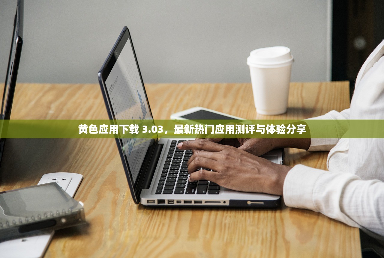 黄色应用下载 3.03，最新热门应用测评与体验分享