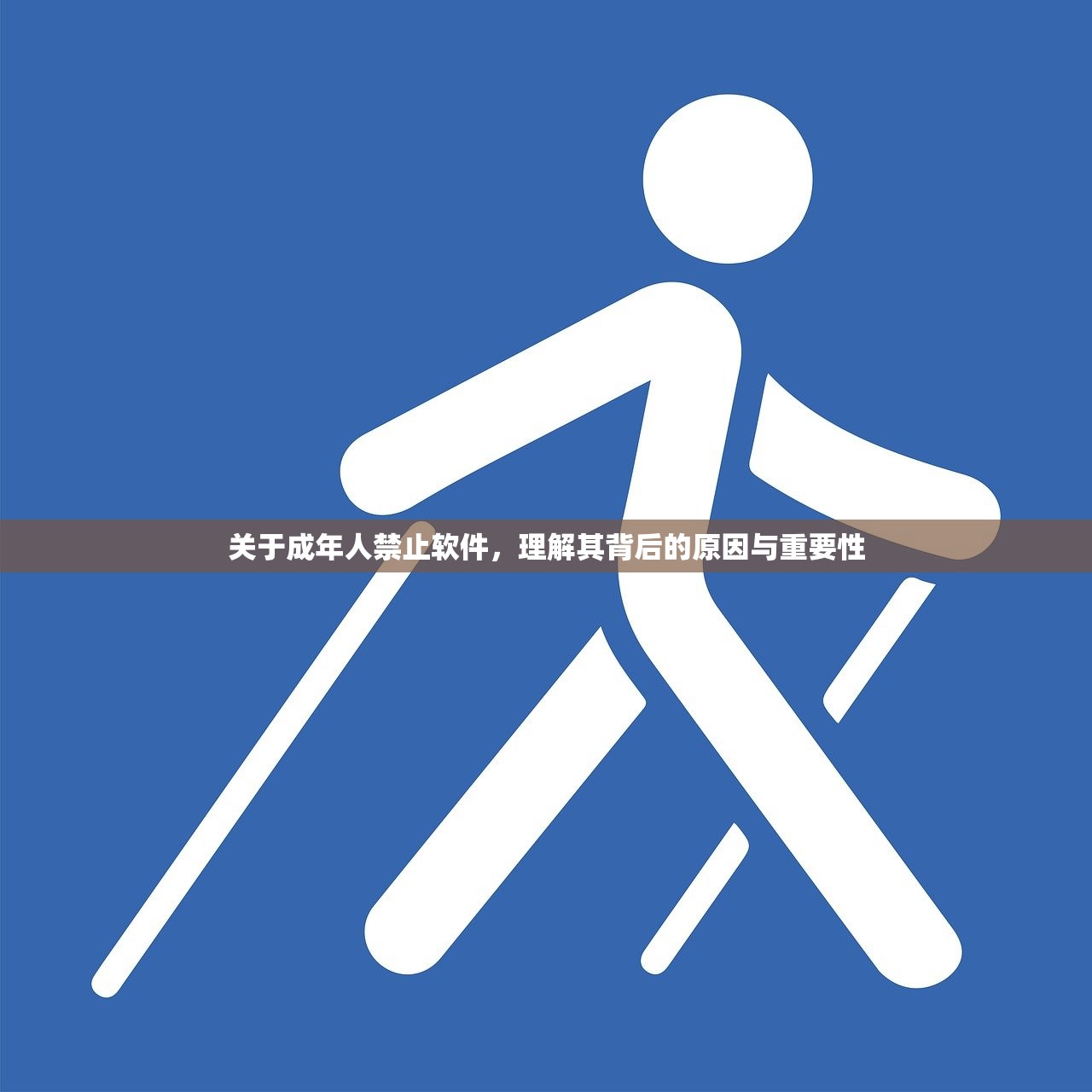 关于成年人禁止软件，理解其背后的原因与重要性