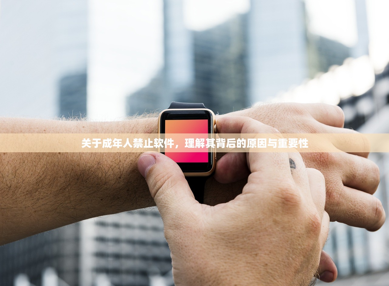 关于成年人禁止软件，理解其背后的原因与重要性