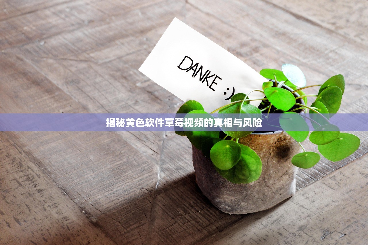 揭秘黄色软件草莓视频的真相与风险