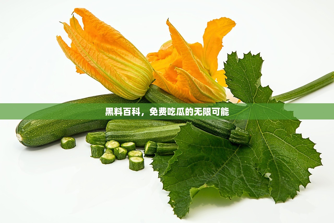 黑料百科，免费吃瓜的无限可能