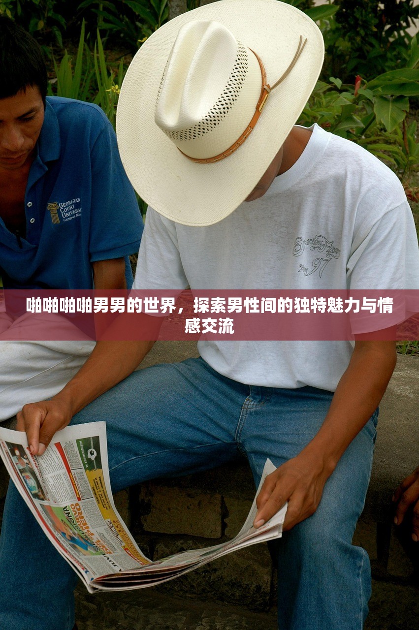 啪啪啪啪男男的世界，探索男性间的独特魅力与情感交流
