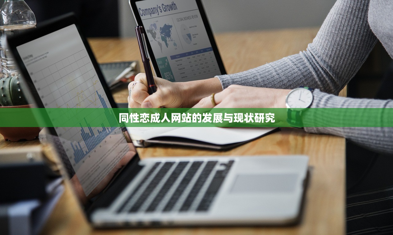 同性恋成人网站的发展与现状研究