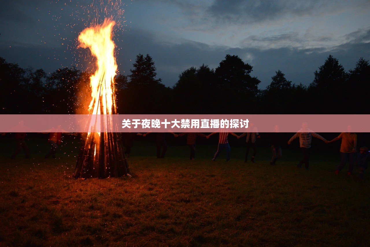 关于夜晚十大禁用直播的探讨