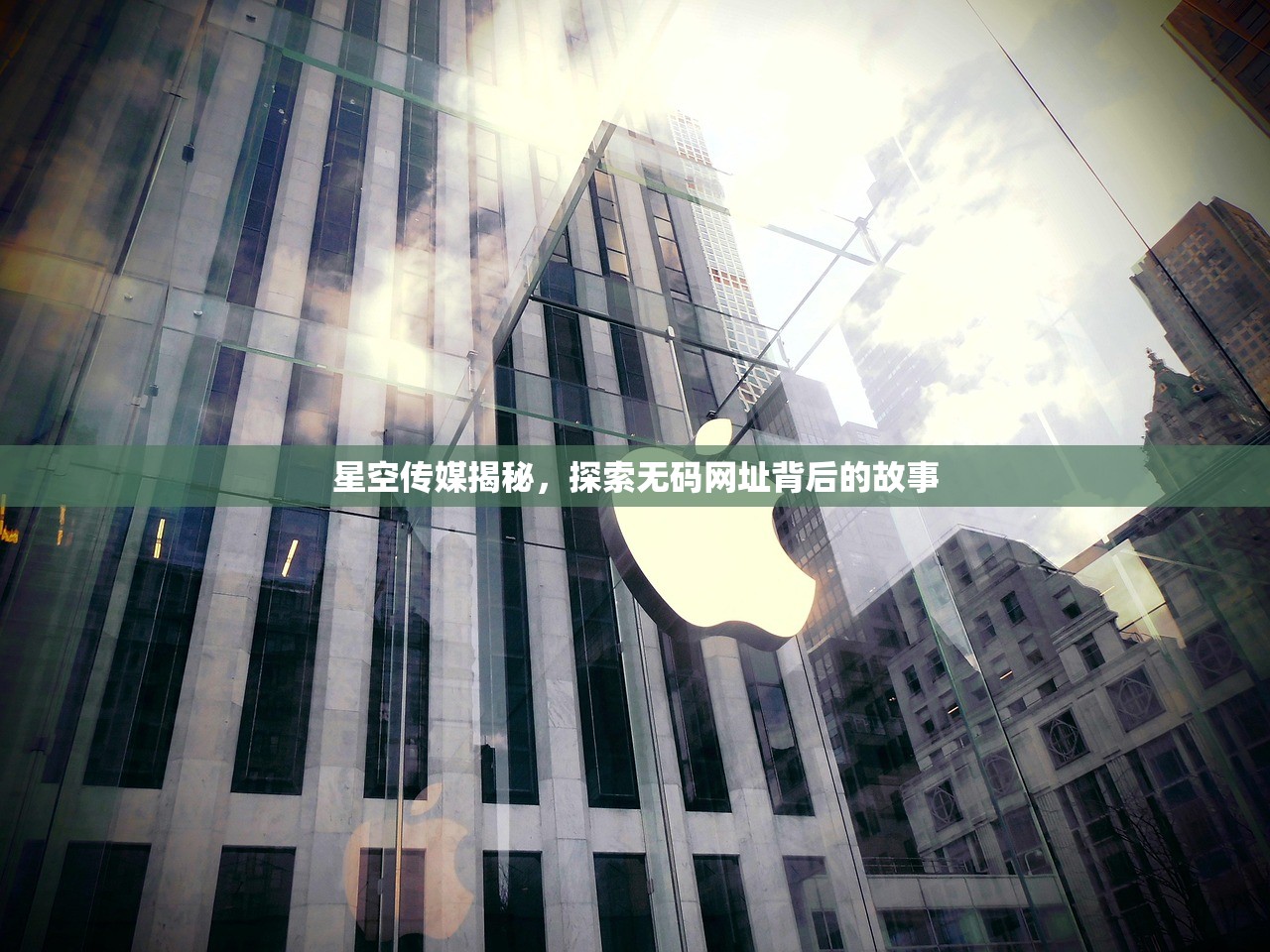 星空传媒揭秘，探索无码网址背后的故事