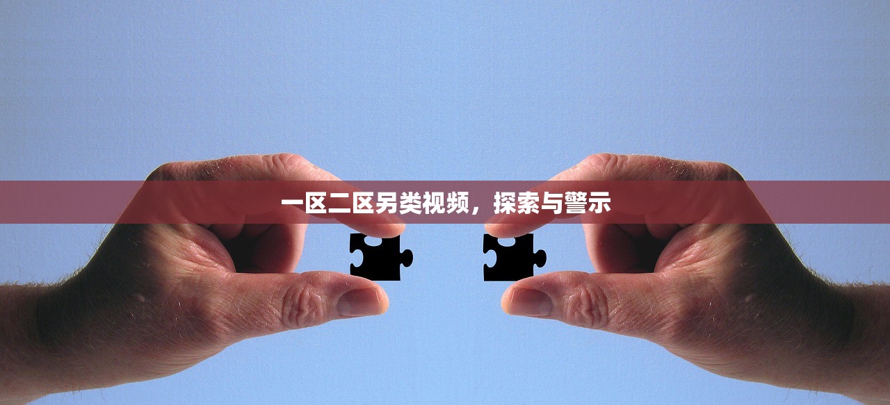 一区二区另类视频，探索与警示
