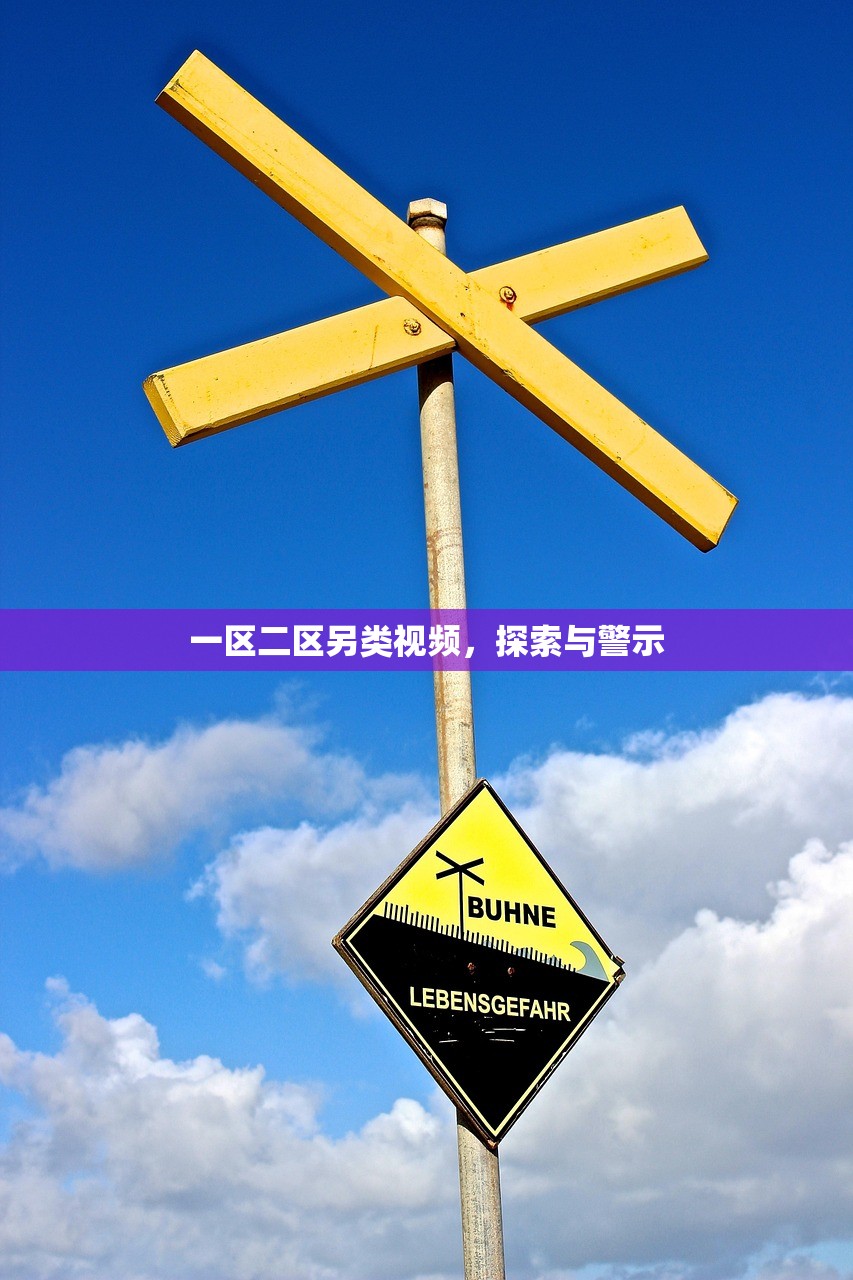 一区二区另类视频，探索与警示
