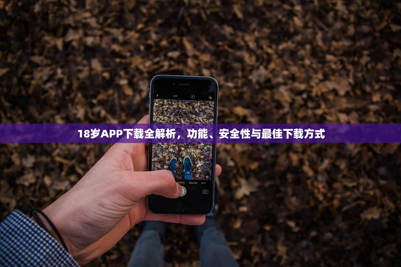 18岁APP下载全解析，功能、安全性与最佳下载方式