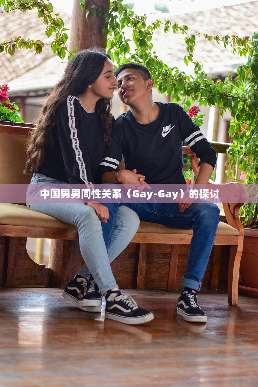 中国男男同性关系（Gay-Gay）的探讨