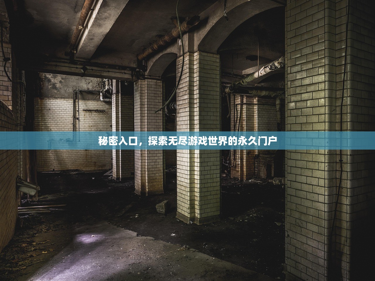 秘密入口，探索无尽游戏世界的永久门户