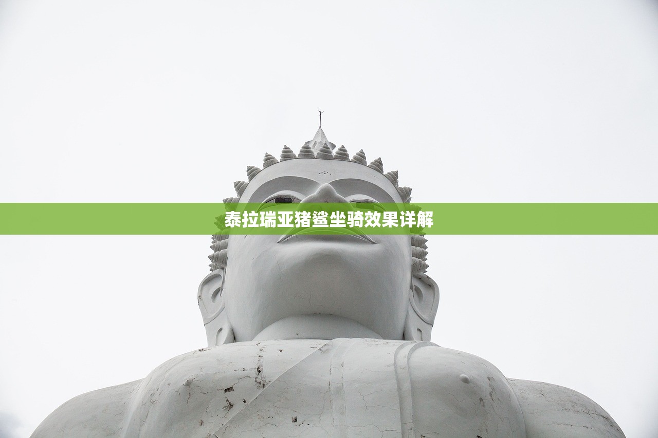 泰拉瑞亚猪鲨坐骑效果详解