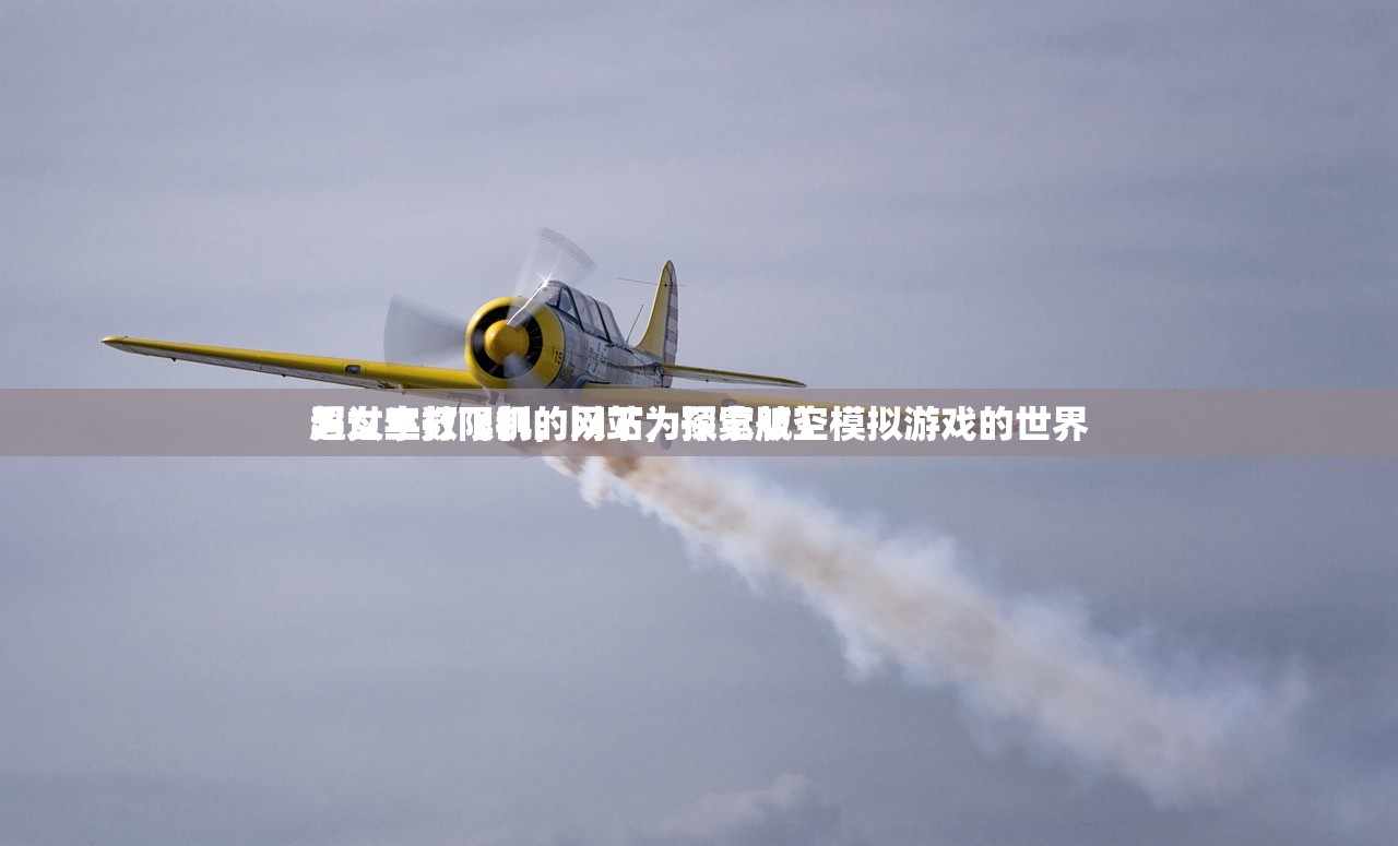 男女生打飞机的网站，探索航空模拟游戏的世界
超过字数限制，以下为预览版）