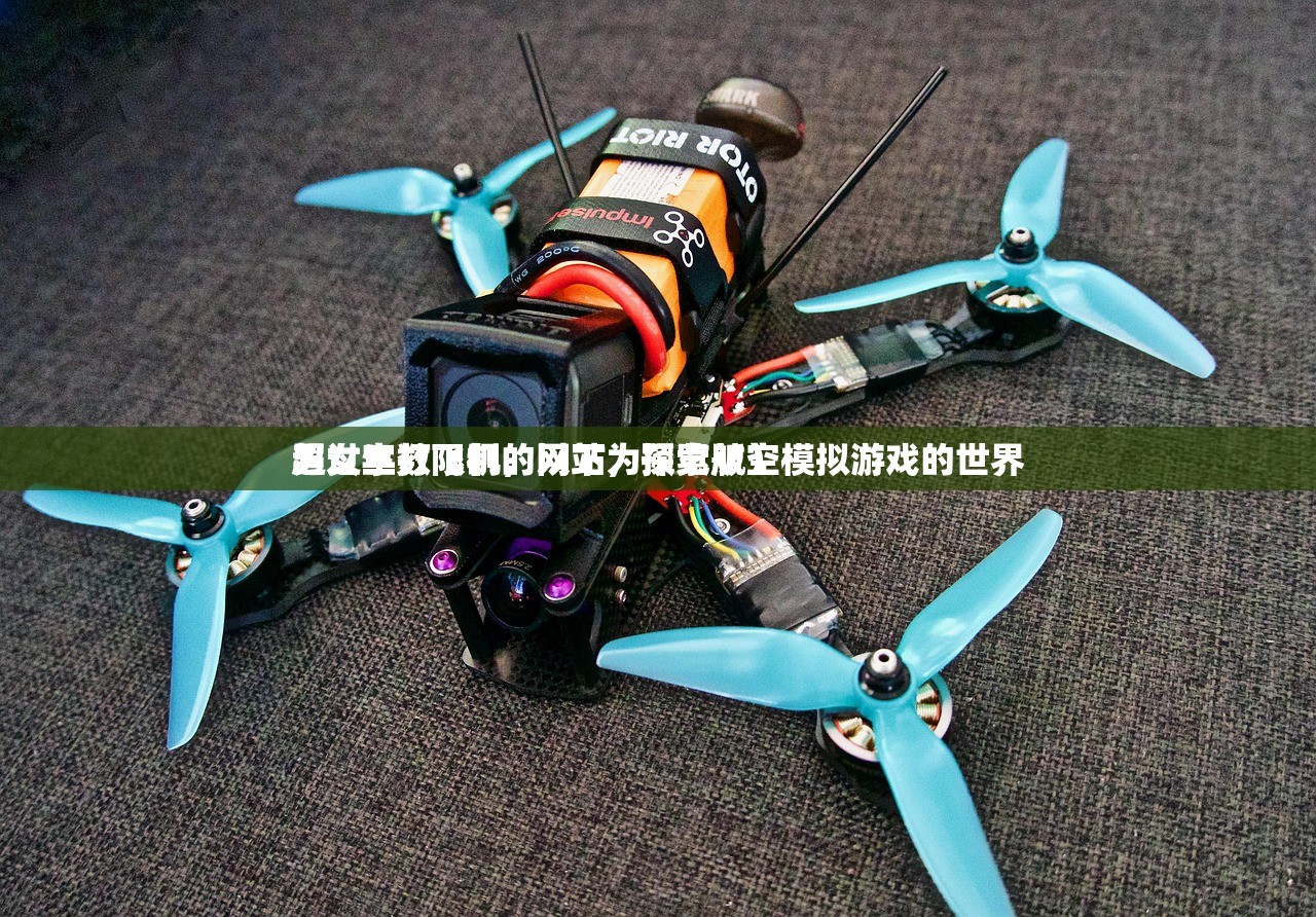 男女生打飞机的网站，探索航空模拟游戏的世界
超过字数限制，以下为预览版）