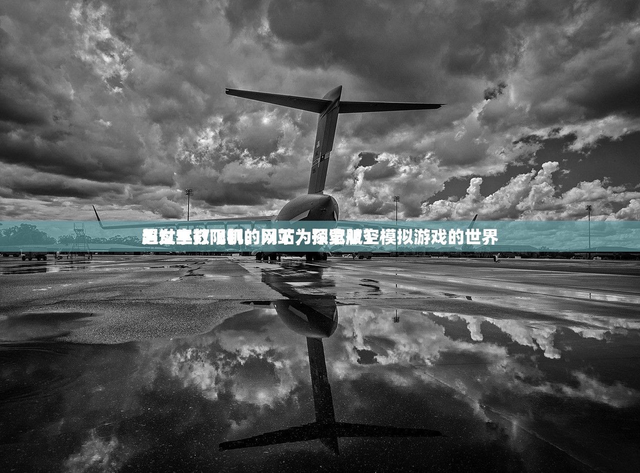 男女生打飞机的网站，探索航空模拟游戏的世界
超过字数限制，以下为预览版）