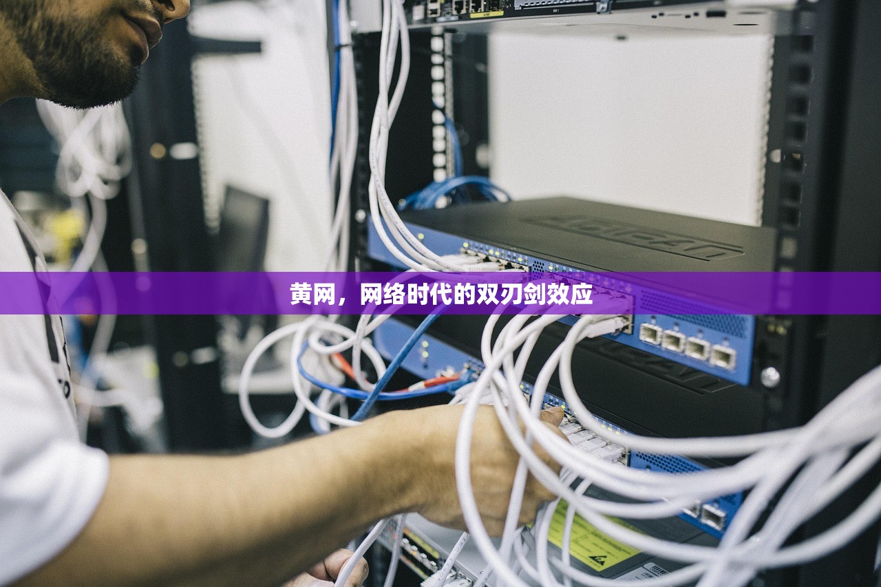 黄网，网络时代的双刃剑效应