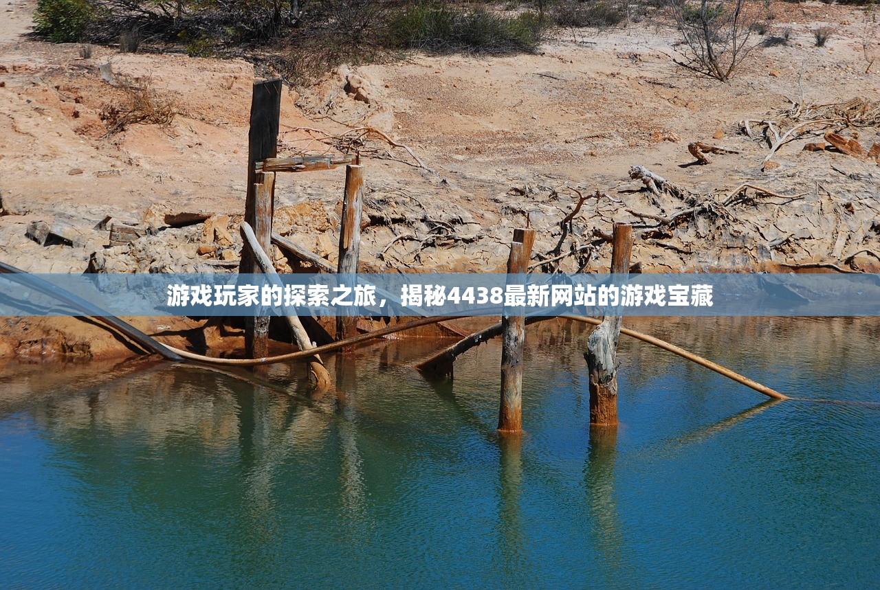 游戏玩家的探索之旅，揭秘4438最新网站的游戏宝藏