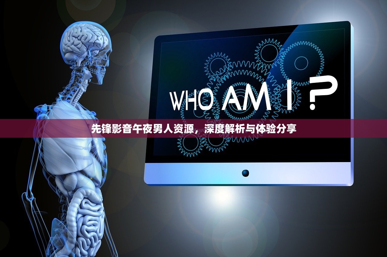 先锋影音午夜男人资源，深度解析与体验分享