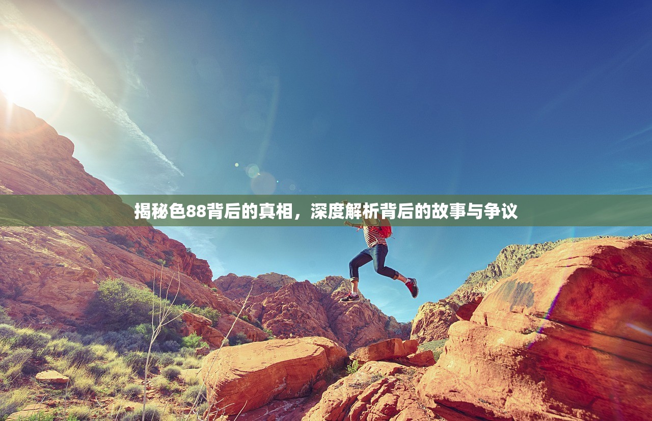 揭秘色88背后的真相，深度解析背后的故事与争议