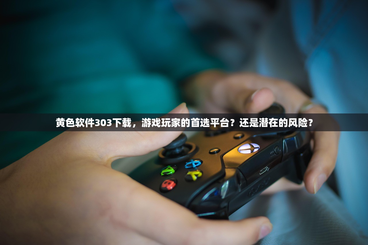 黄色软件303下载，游戏玩家的首选平台？还是潜在的风险？