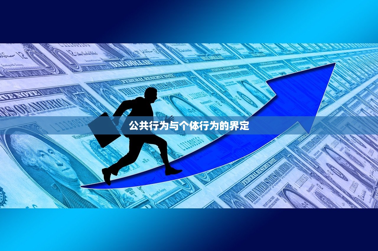 公共行为与个体行为的界定