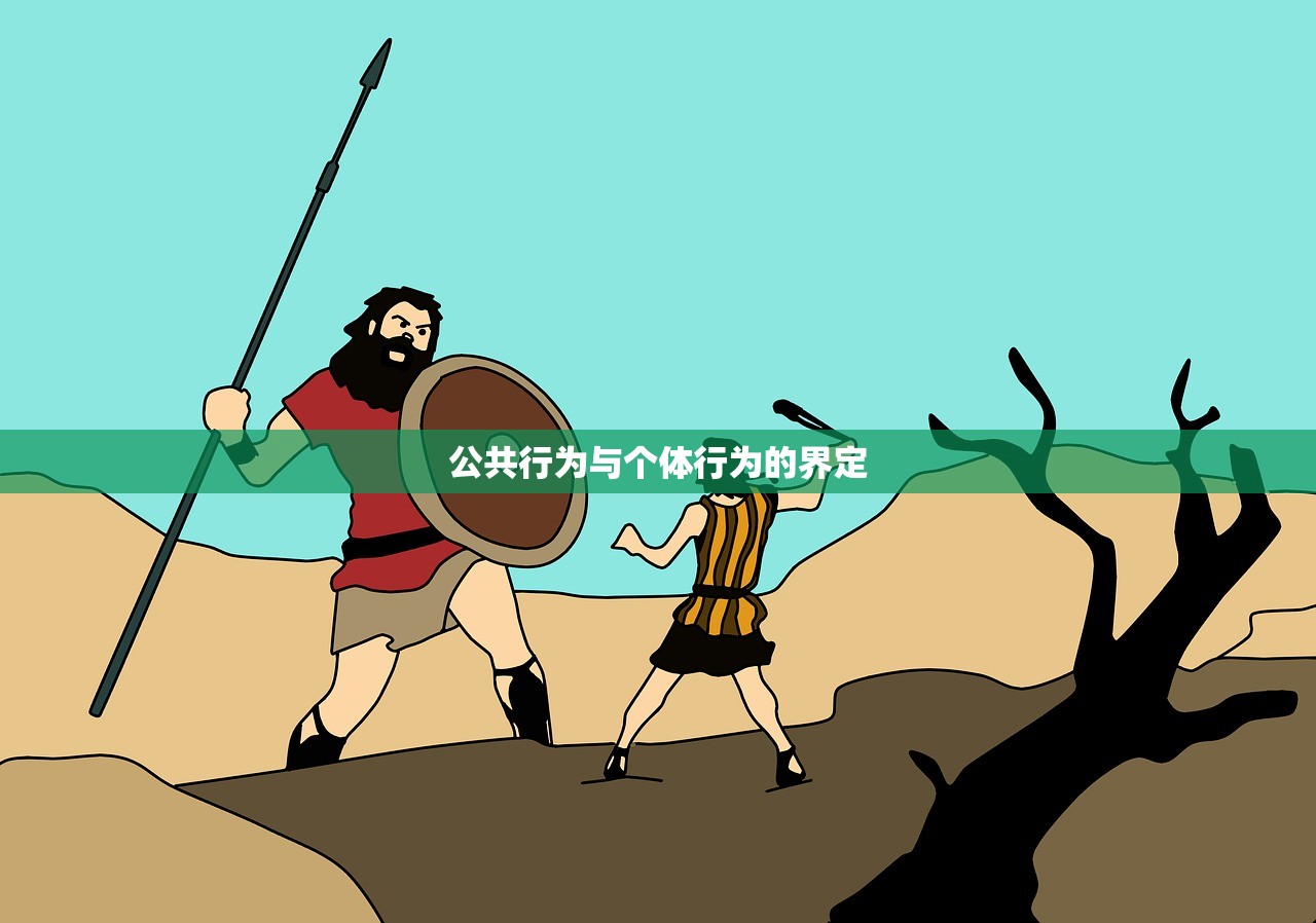 公共行为与个体行为的界定