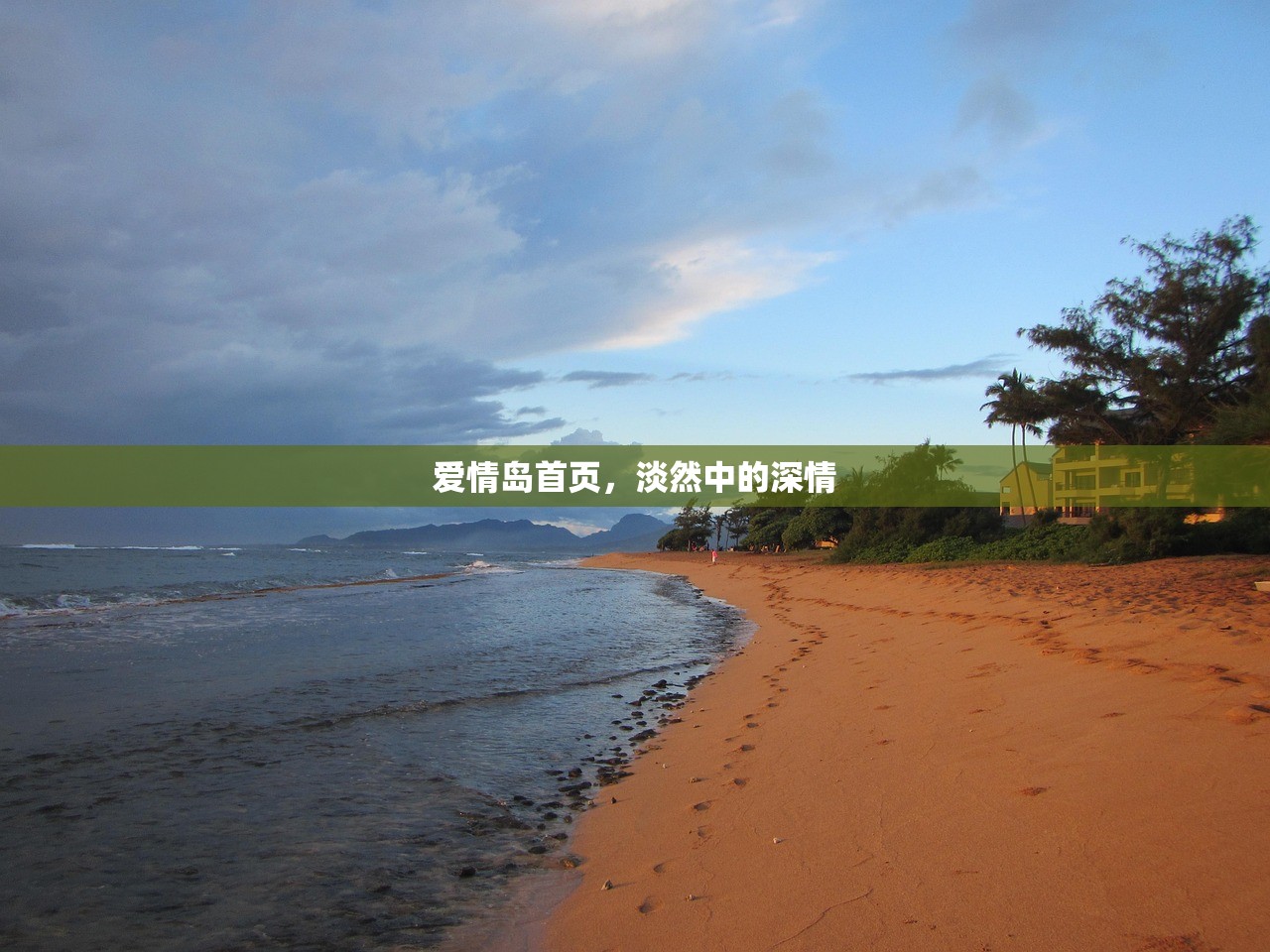 爱情岛首页，淡然中的深情