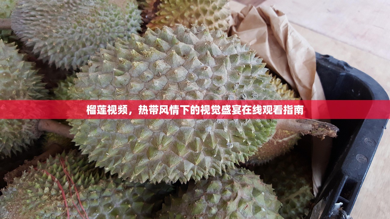 榴莲视频，热带风情下的视觉盛宴在线观看指南