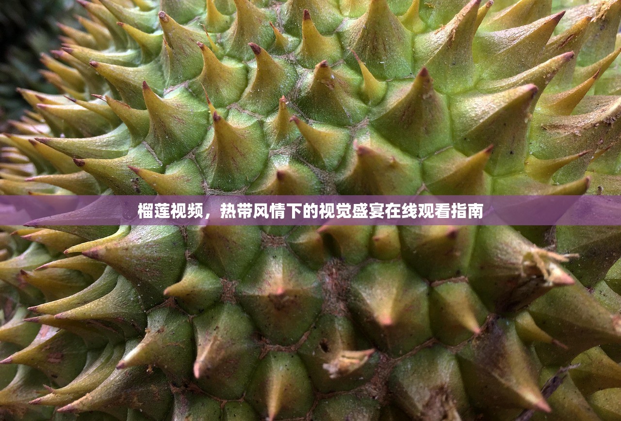 榴莲视频，热带风情下的视觉盛宴在线观看指南