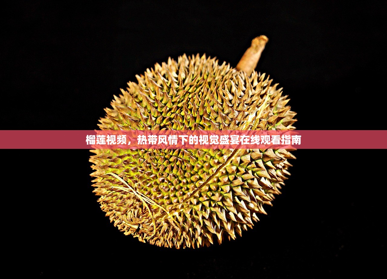 榴莲视频，热带风情下的视觉盛宴在线观看指南