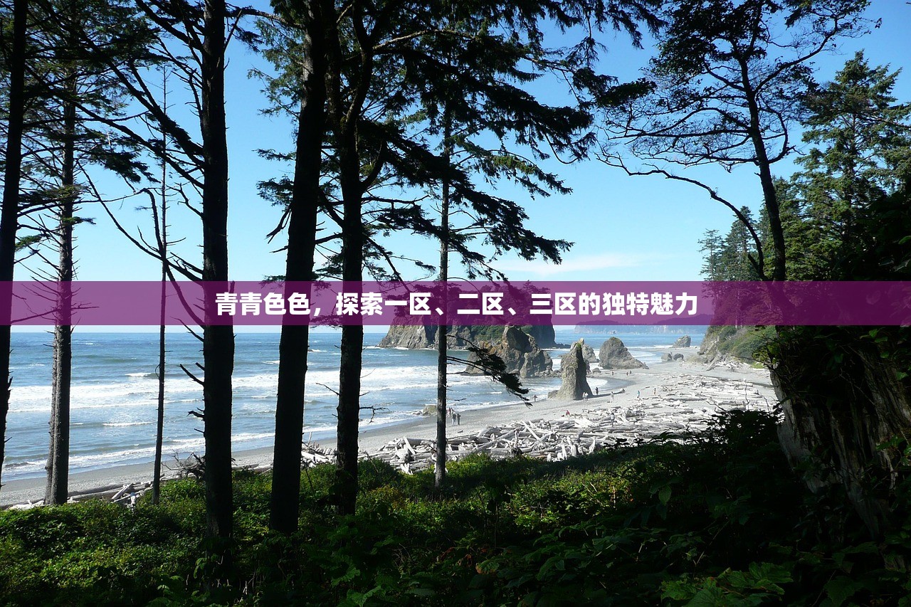 青青色色，探索一区、二区、三区的独特魅力
