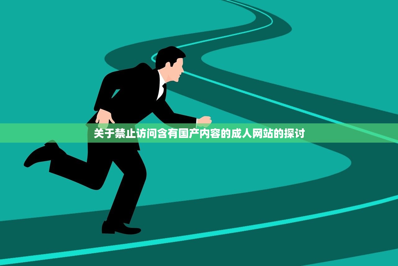 关于禁止访问含有国产内容的成人网站的探讨