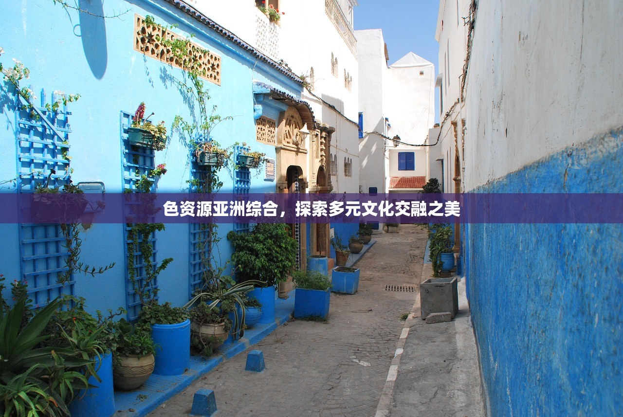 色资源亚洲综合，探索多元文化交融之美