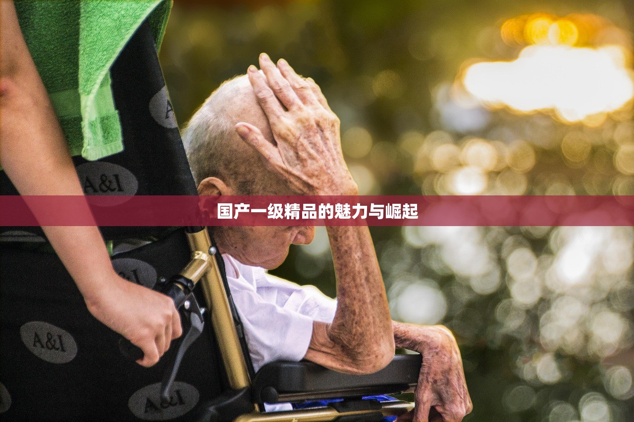国产一级精品的魅力与崛起