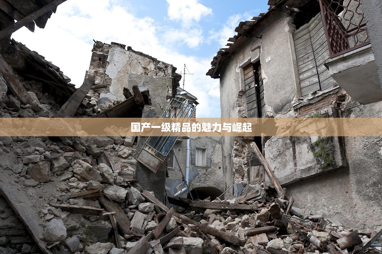 国产一级精品的魅力与崛起