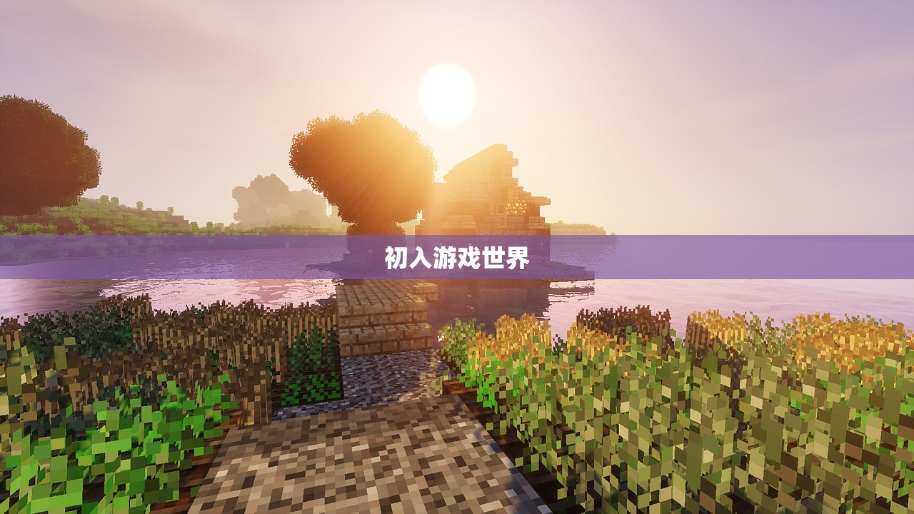 初入游戏世界
