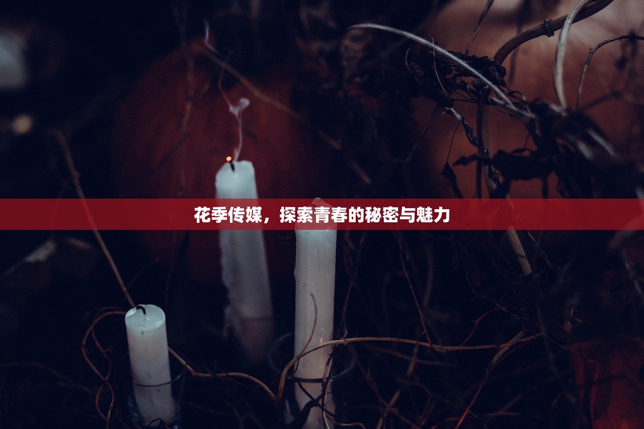 花季传媒，探索青春的秘密与魅力