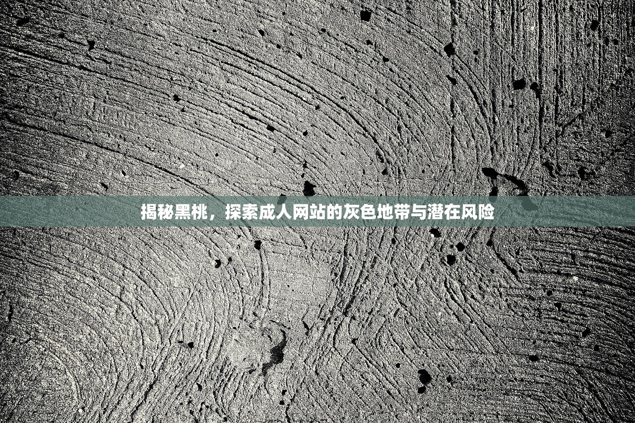 揭秘黑桃，探索成人网站的灰色地带与潜在风险