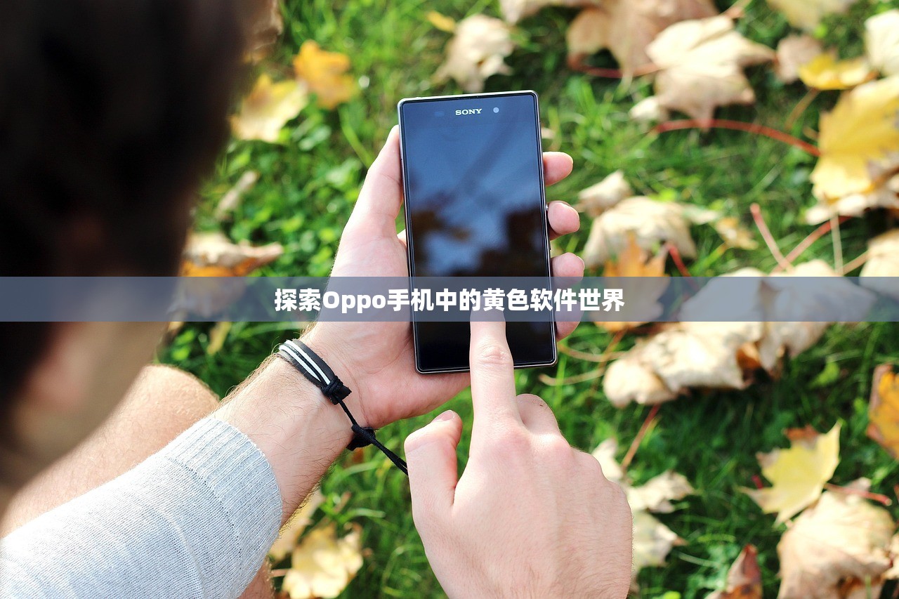 探索Oppo手机中的黄色软件世界
