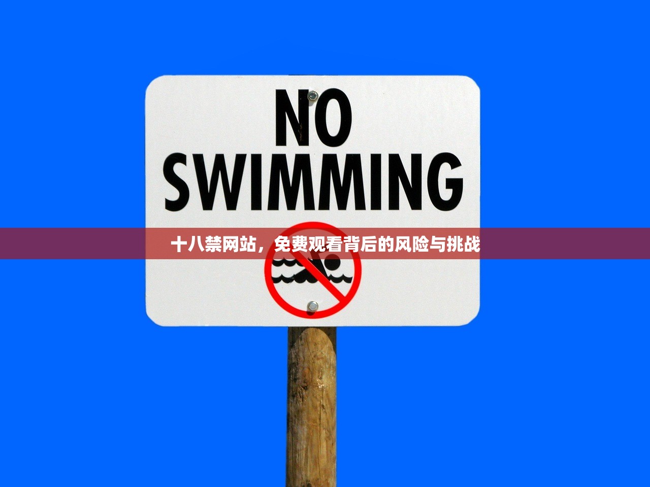 十八禁网站，免费观看背后的风险与挑战