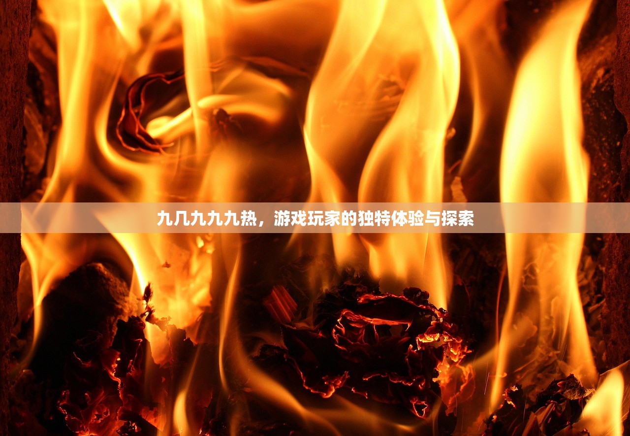 九几九九九热，游戏玩家的独特体验与探索