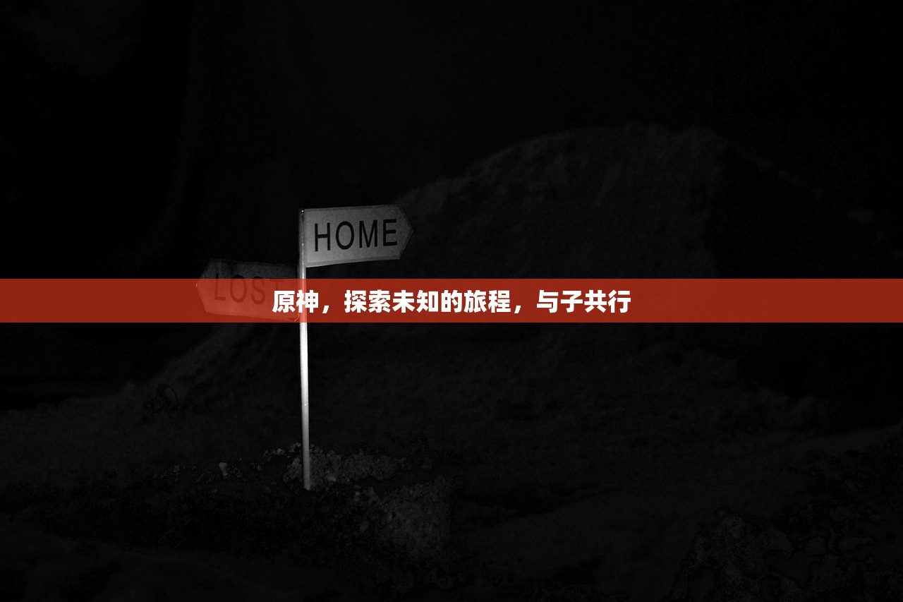原神，探索未知的旅程，与子共行