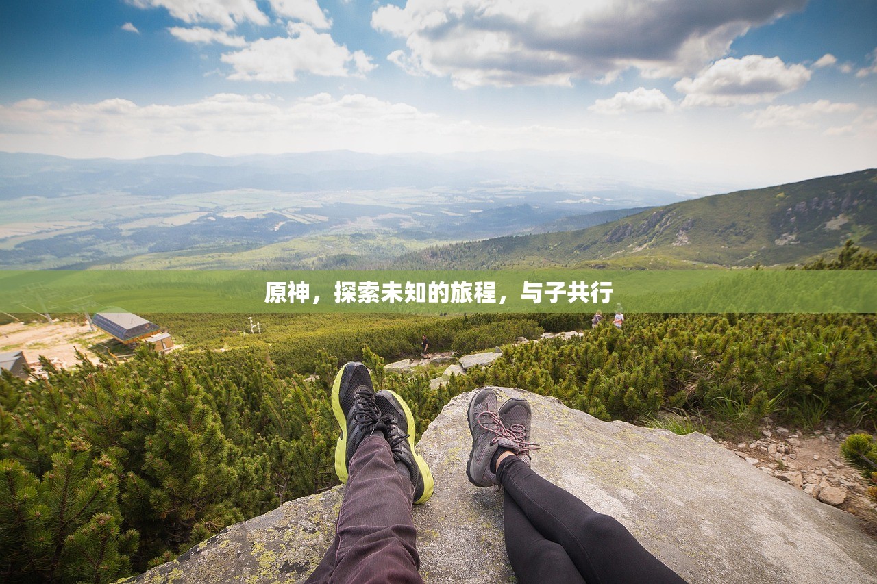 原神，探索未知的旅程，与子共行
