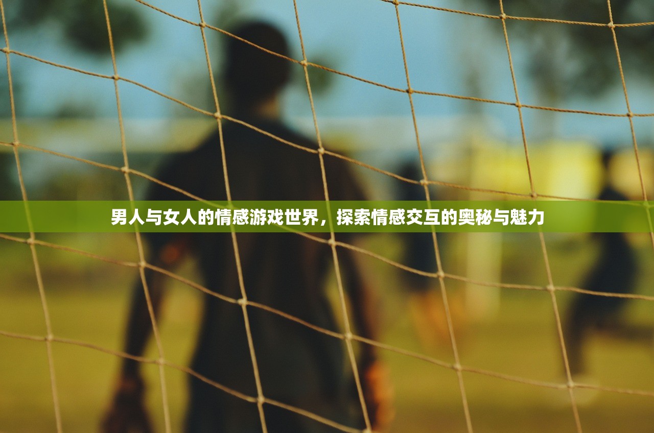 男人与女人的情感游戏世界，探索情感交互的奥秘与魅力