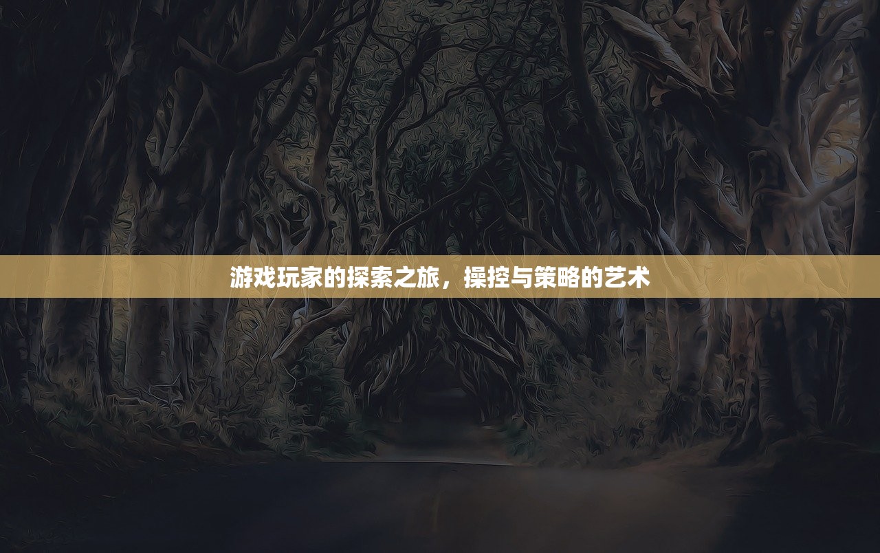 游戏玩家的探索之旅，操控与策略的艺术