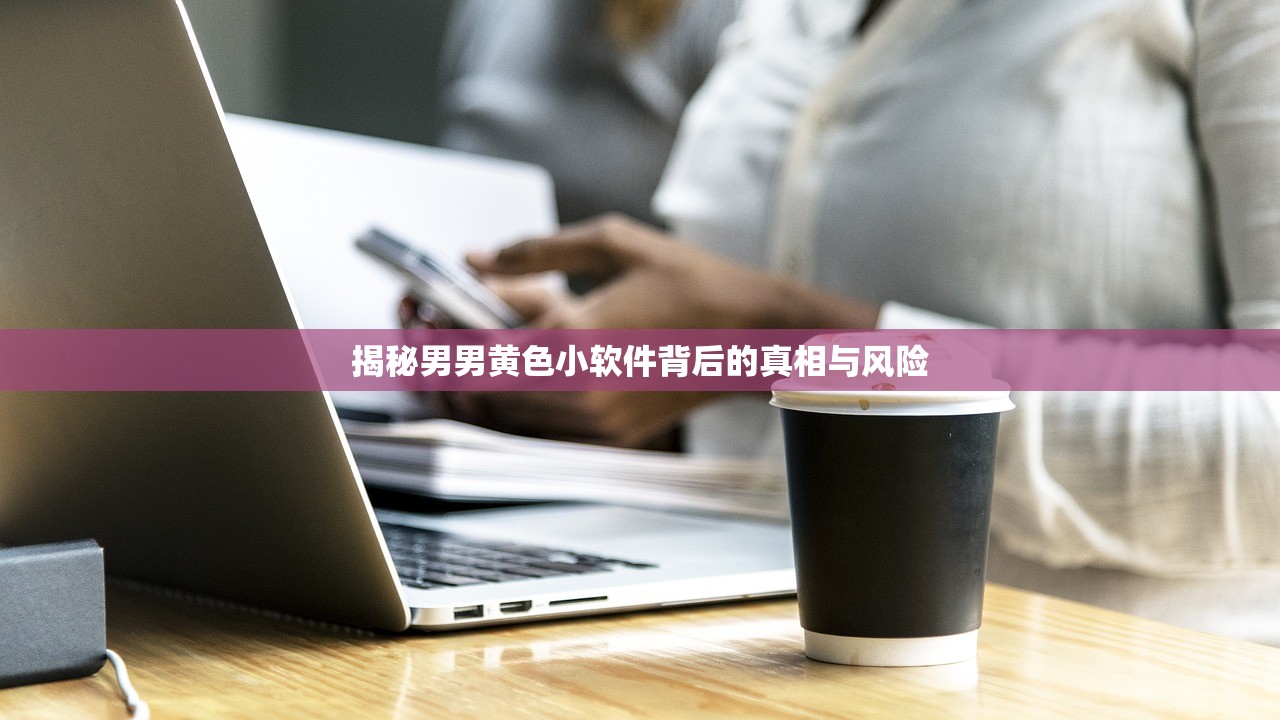 揭秘男男黄色小软件背后的真相与风险