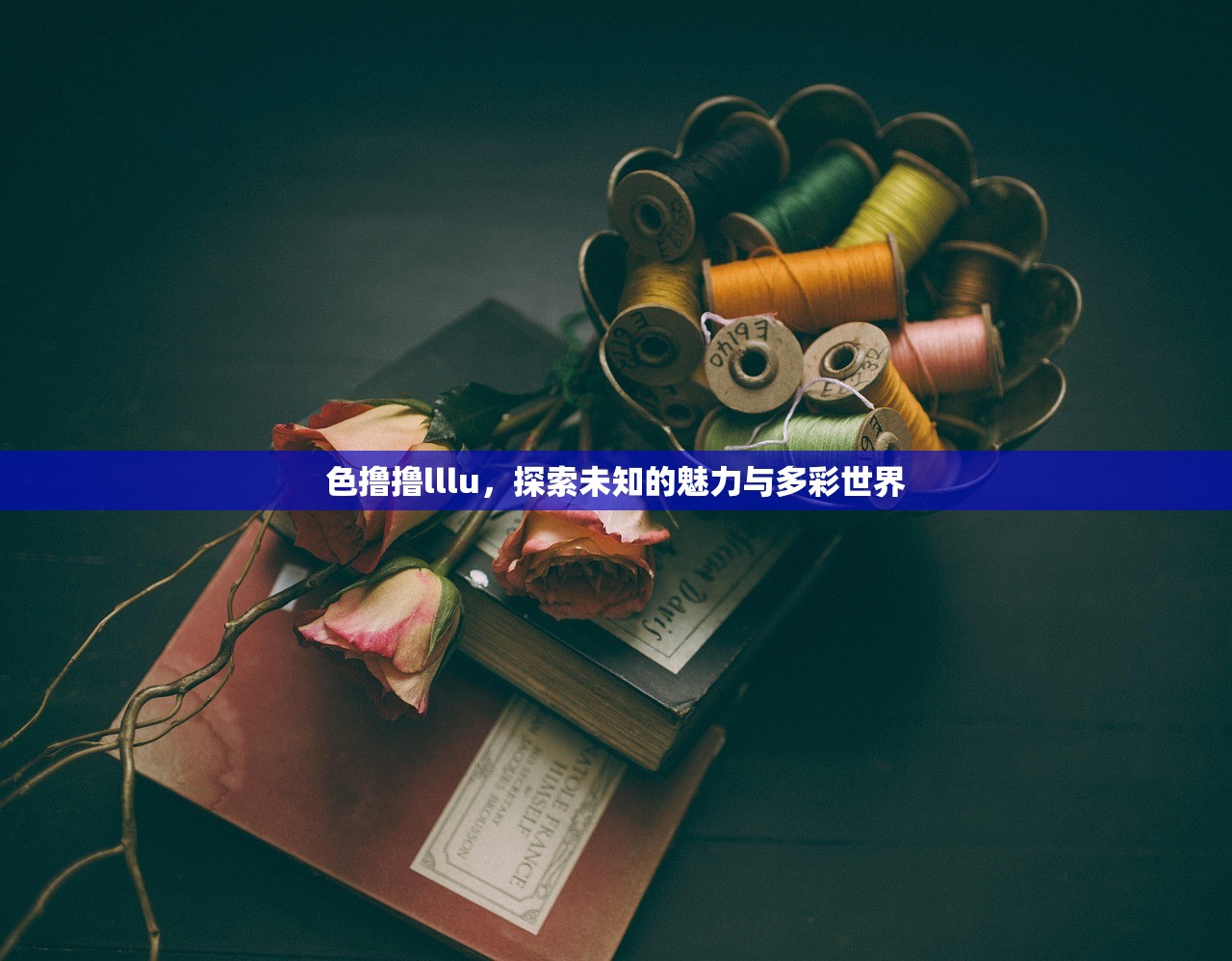 色撸撸lllu，探索未知的魅力与多彩世界