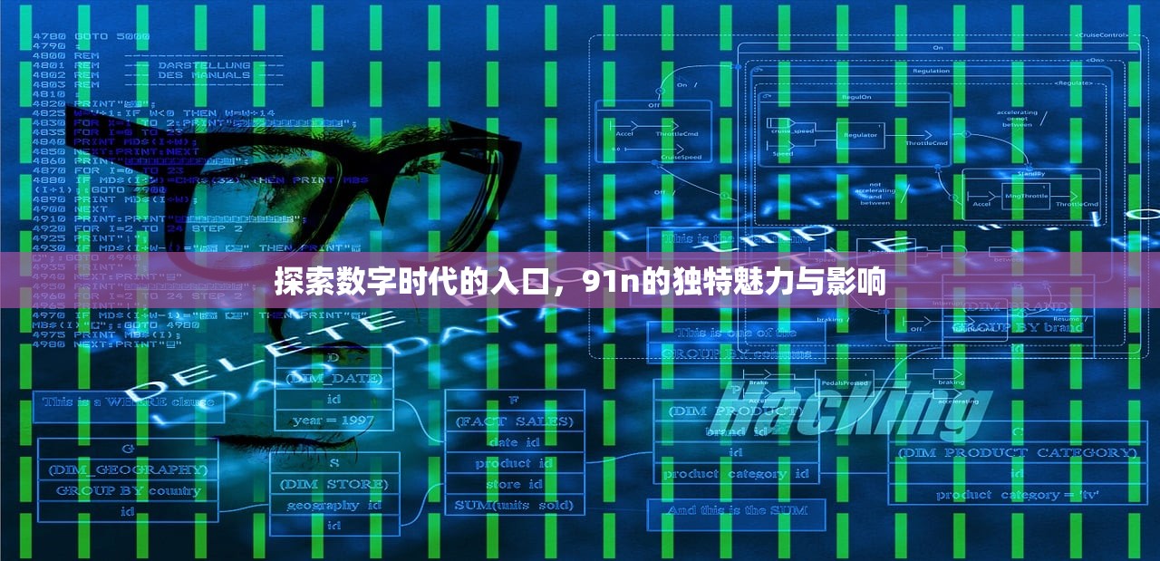 探索数字时代的入口，91n的独特魅力与影响