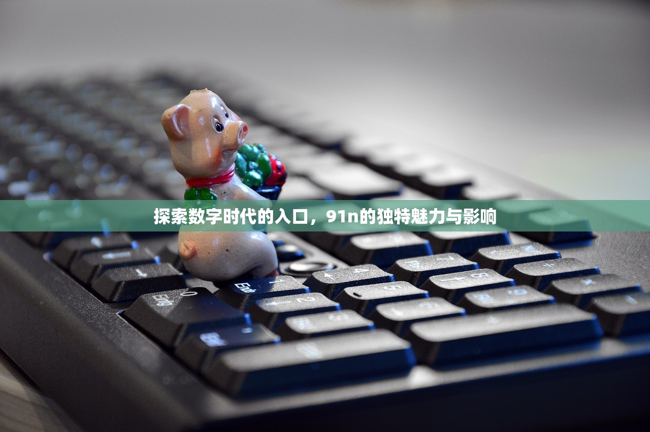 探索数字时代的入口，91n的独特魅力与影响