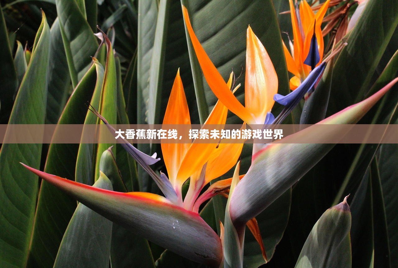 大香蕉新在线，探索未知的游戏世界